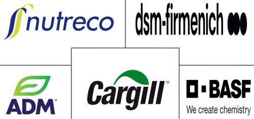 Feed Premix Market Major Players