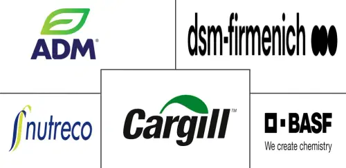 Feed Premix Market Major Players