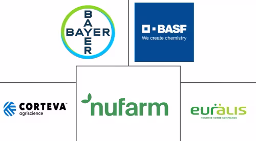 Canola Seed For Sowing Market Major Players