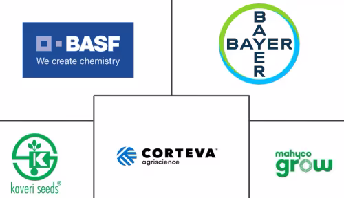 Cotton Seed Market For Sowing Major Players