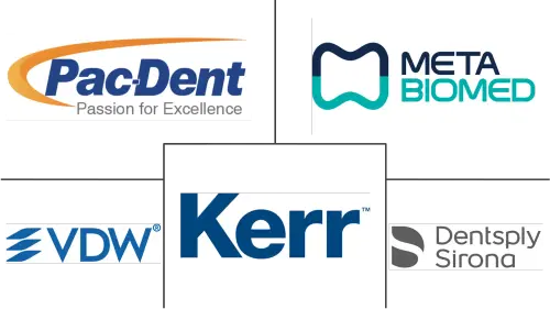 Global Dental Obturators Market Major Players