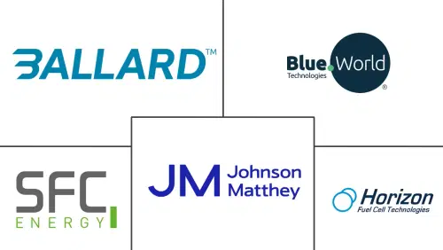 Direct Methanol Fuel Cell Market Major Players