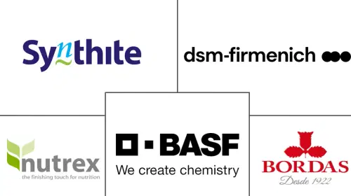 Feed Pigments Market Major Players