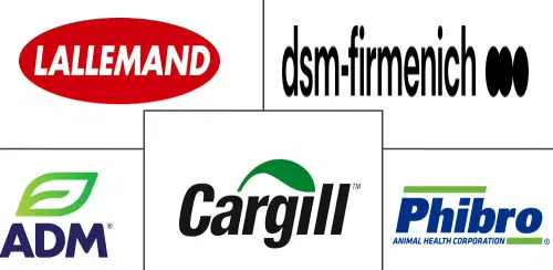 Feed Yeast Market Major Players