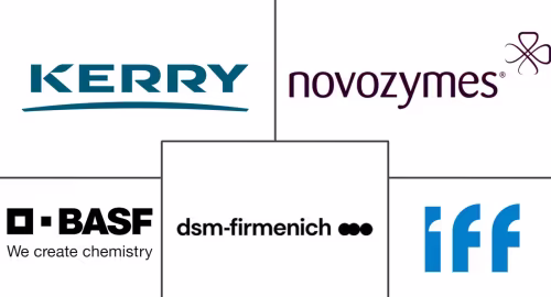 Food Enzymes Market Major Players