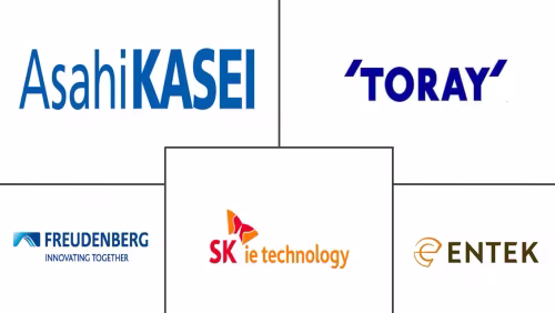 Lead-Acid Battery Separator Market For SLI Applications Major Players