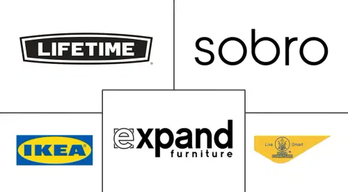 Global Multifunctional Furniture Market Major Players