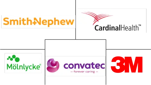 Negative Pressure Wound Therapy Market Major Players