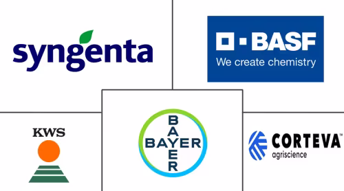 Oilseed Market For Sowing Major Players