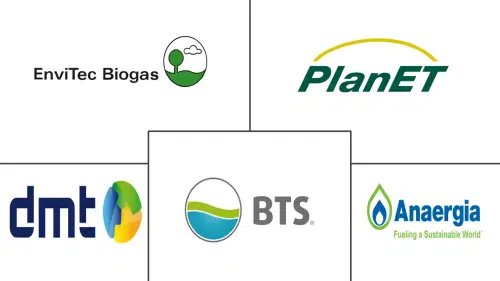 Organic Biogas Market Major Players