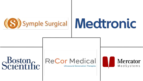 Renal Denervation Devices Market Major Players