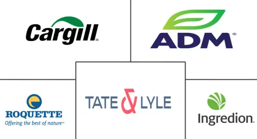 Starch Derivatives Market Major Players