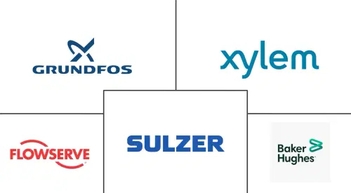 Submersible Pumps Market Major Players