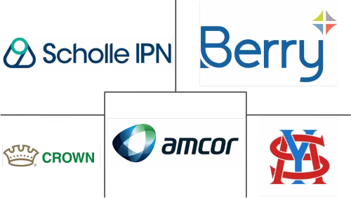 Hot-fill Food Packaging Market Major Players