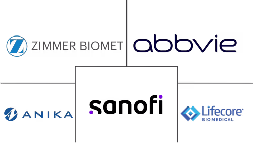 Hyaluronic Acid Raw Material Market Major Players