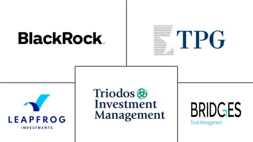 Impact Investing Market Major Players