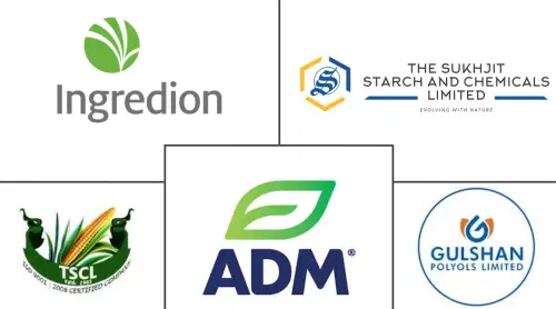 India Starch And Starch Derivative Market Major Players