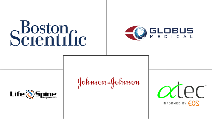 Major players in Interspinous Spacers industry