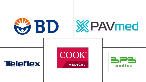 Intraosseous Infusion Kits Market Major Players