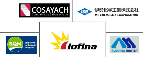 Iodine Market Major Players