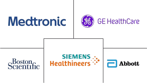 Italy Cardiovascular Devices Market Major Players