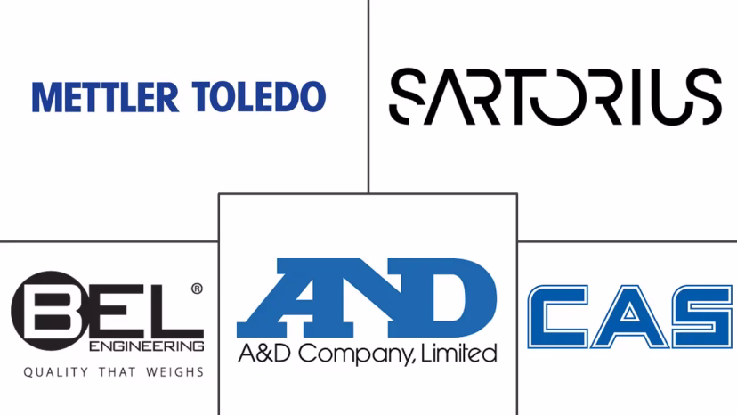 Major players in Laboratory Electronic Balance industry