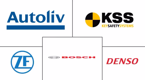 Latin America Airbag Systems Market Major Players