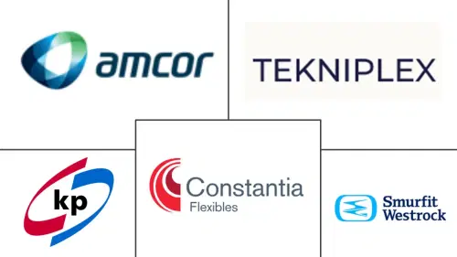 South America Blister Packaging Market Major Players