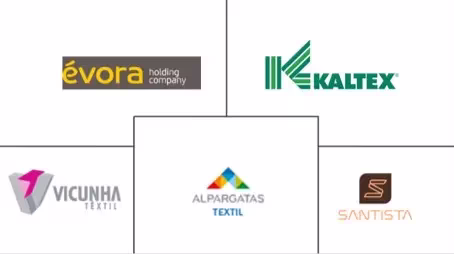 Latin America Textile Market Major Players