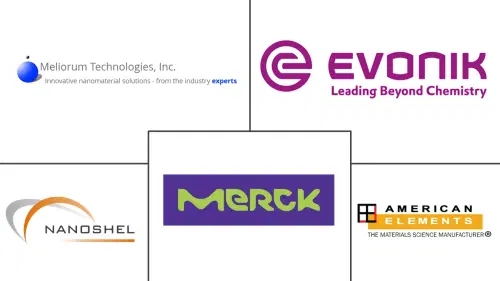 Metal Oxide Nanoparticles Market Major Players
