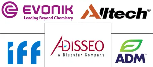 Middle East Feed Amino Acids Market Major Players