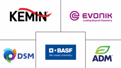 Middle East Feed Vitamins Market Major Players