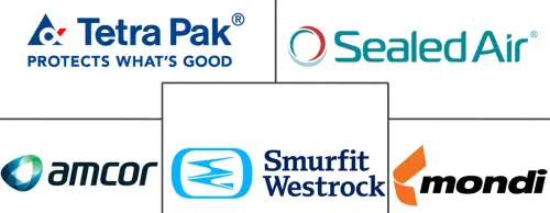 Nano-enabled Packaging Market Major Players