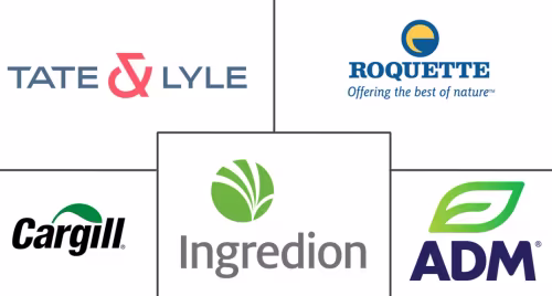 Native Starch Market Major Players