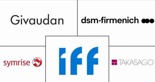 Natural Food Flavors Market Major Players