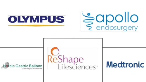 Netherlands Bariatric Surgery Market Major Players