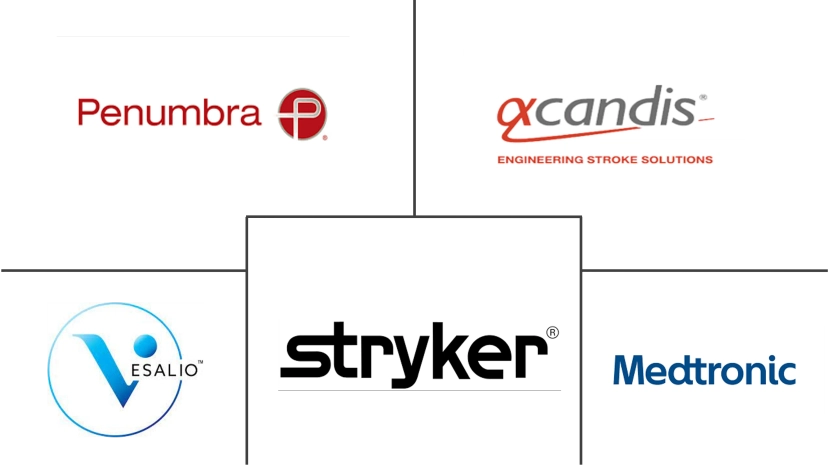 Major players in Neurovascular Thrombectomy Devices industry
