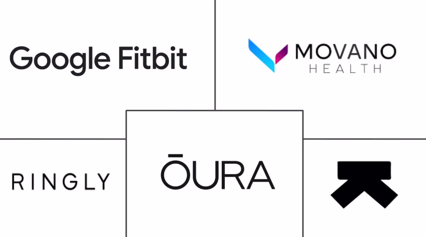 Major players in North America Fitness Ring industry