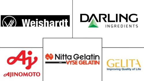 North America Gelatin Market Major Players