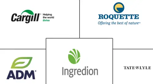 North America Starch Derivatives Market Major Players