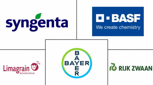 North America Tomato Seed Market Major Players