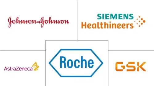 Ovarian Cancer Diagnostics and Therapeutics Market Major Players