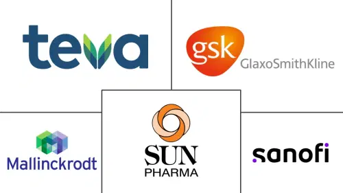 Paracetamol Market Major Players