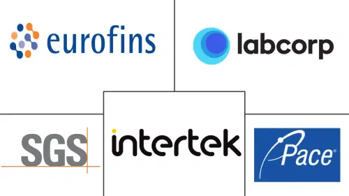 Pharmaceutical Analytical Testing Outsourcing Market Major Players