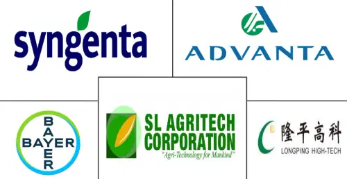 Philippines Rice Seed Market Major Players