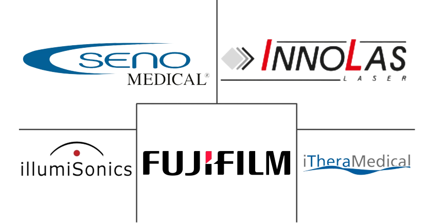 Major players in Photoacoustic Imaging industry