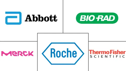 Real-time PCR, Digital PCR, And End-point PCR Market Major Players
