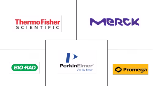 Reporter Gene Assay Market Major Players