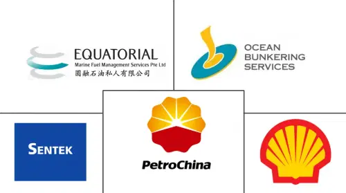 Singapore Bunker Fuel Market Major Players