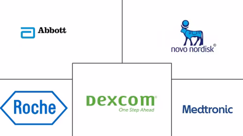 South Africa Diabetes Devices Market Major Players